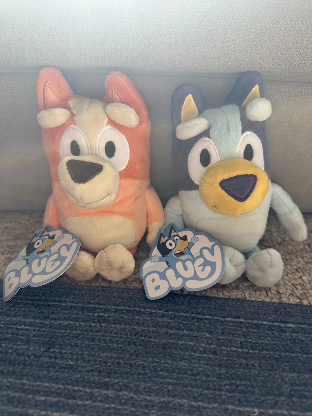 Bluey and Bingo Plush Toys